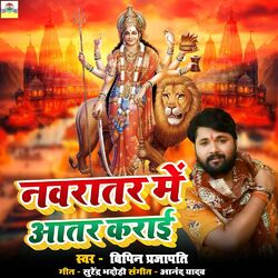 Cover of NAVRATAR ME AATAR KRAI