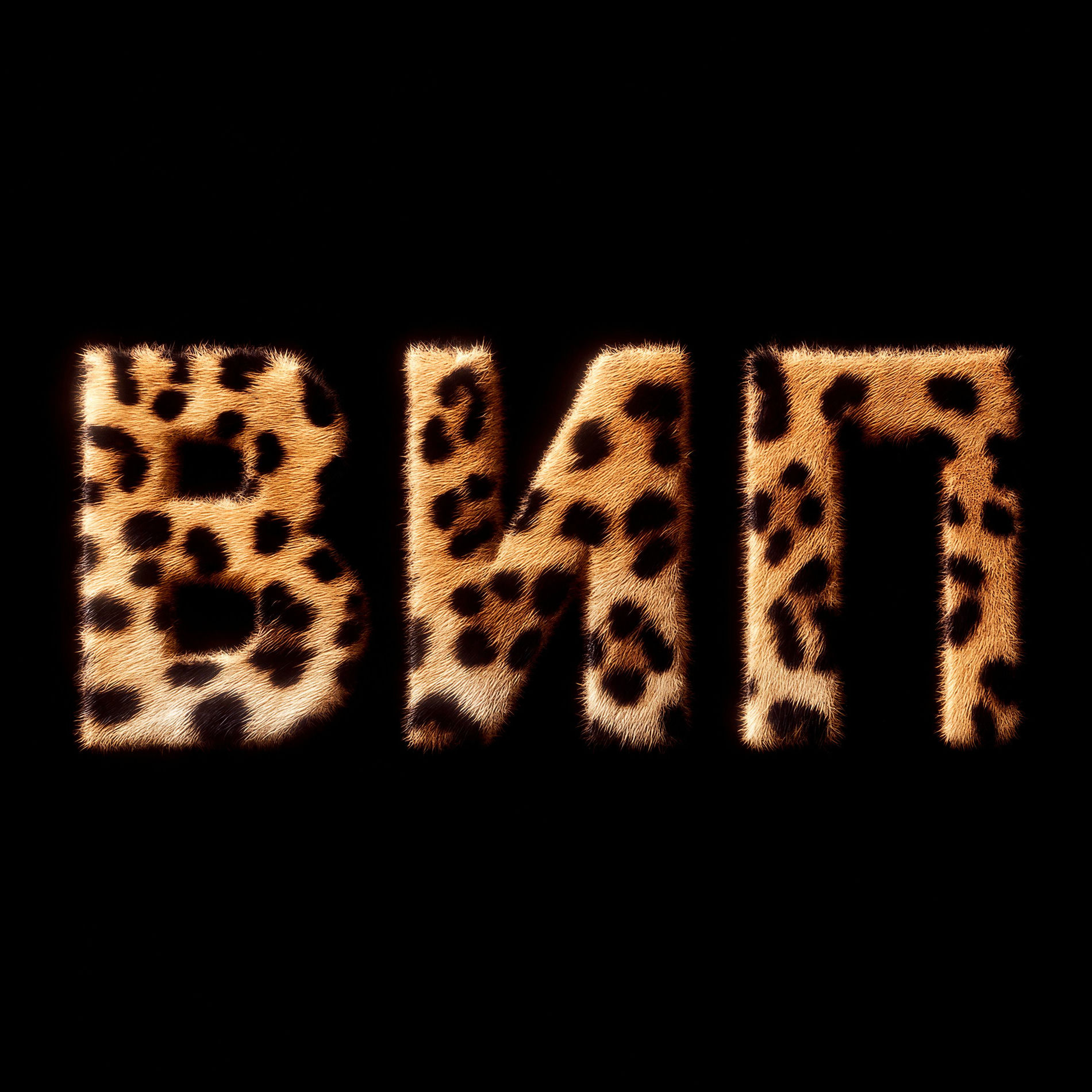 Album cover of ВИП