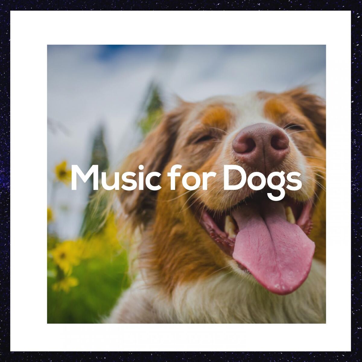 Album cover of Relaxing Music for Dogs
