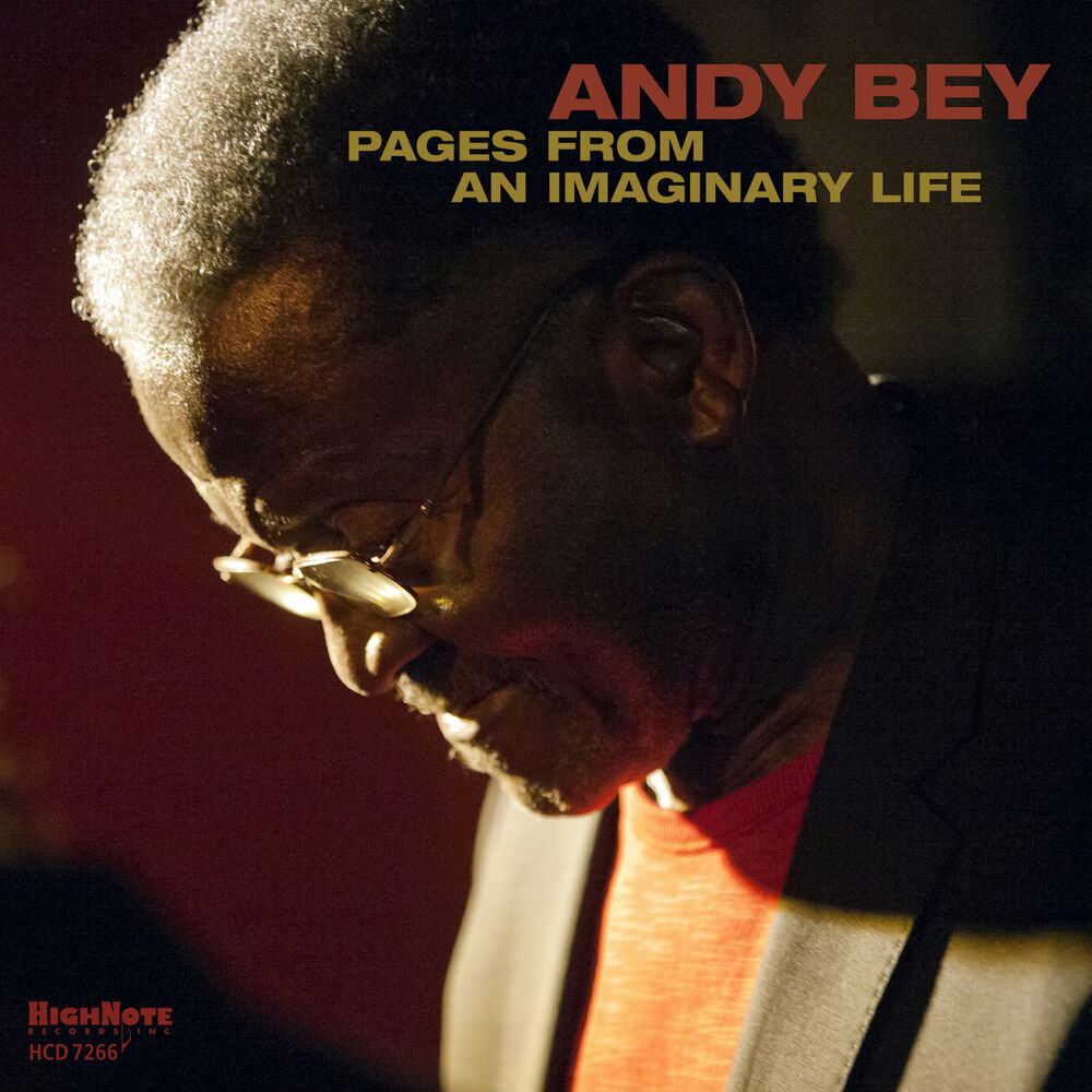 Picture of Pages from an Imaginary Life