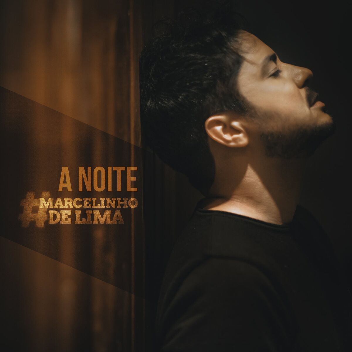 Album cover of A Noite