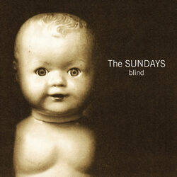 Cover of Blind