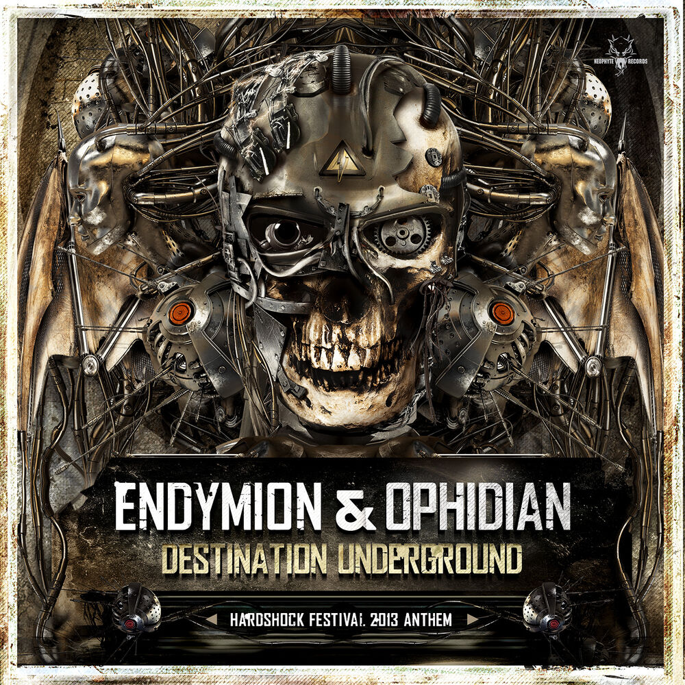 Picture of Destination Underground (Hardshock Festival 2013 Anthem)