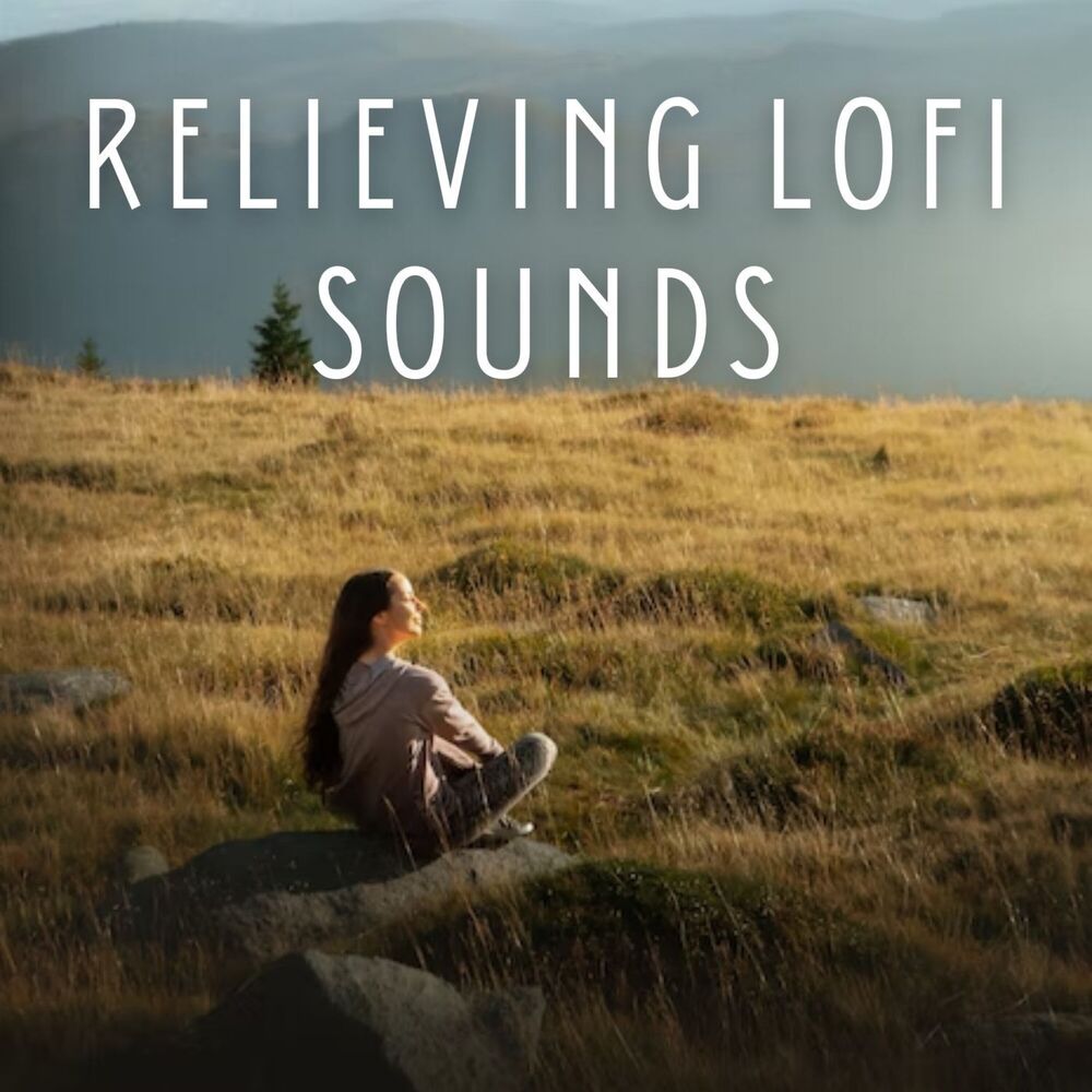 Picture of Relieving Lofi Sounds