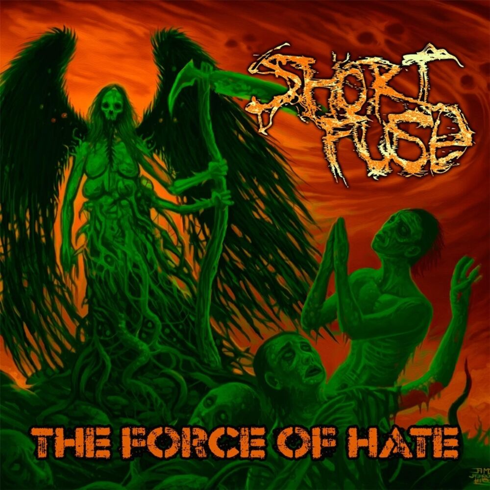 Picture of The Force of Hate