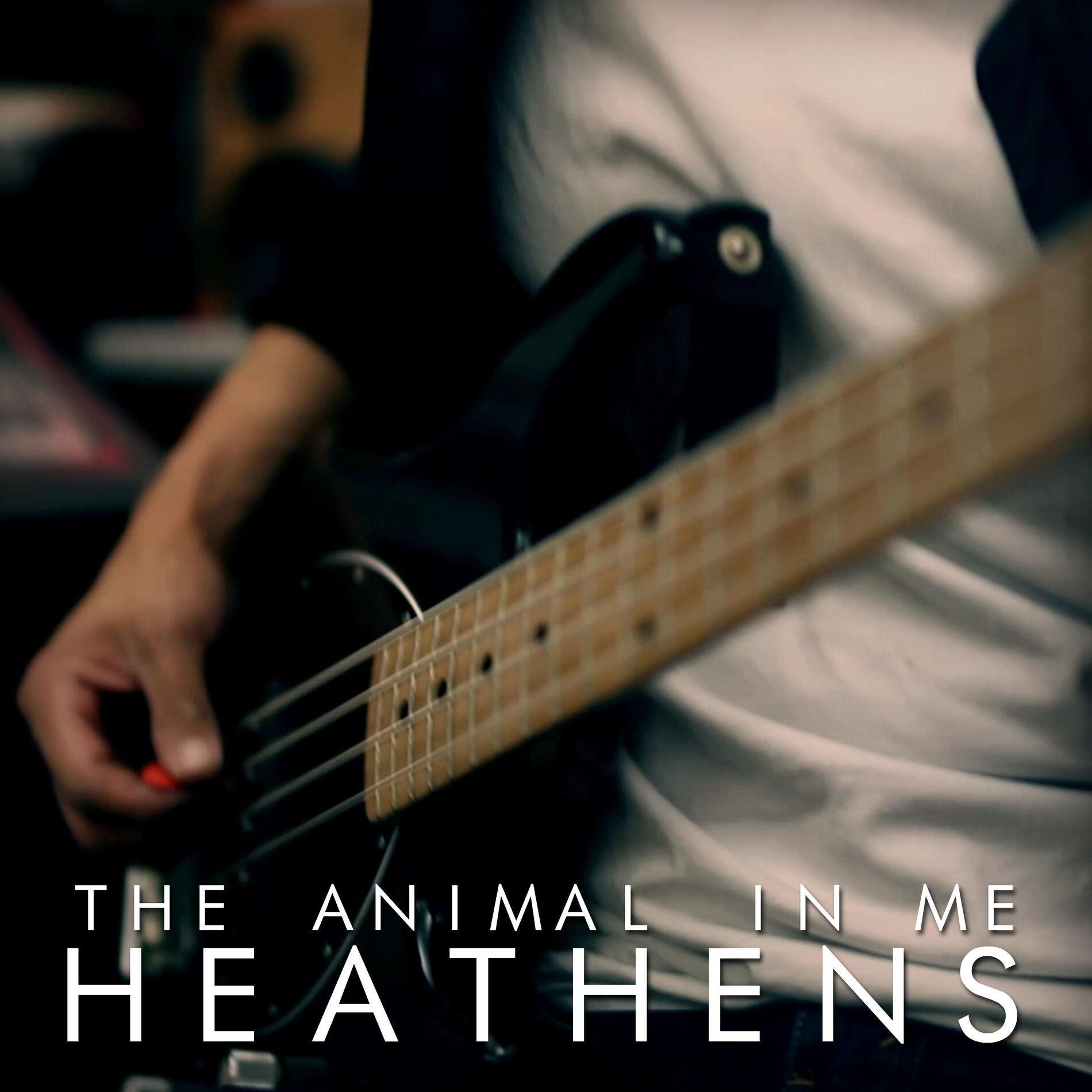 Album cover of Heathens
