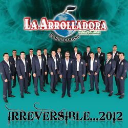 Cover of Irreversible... 2012