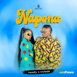 Cover of Napona