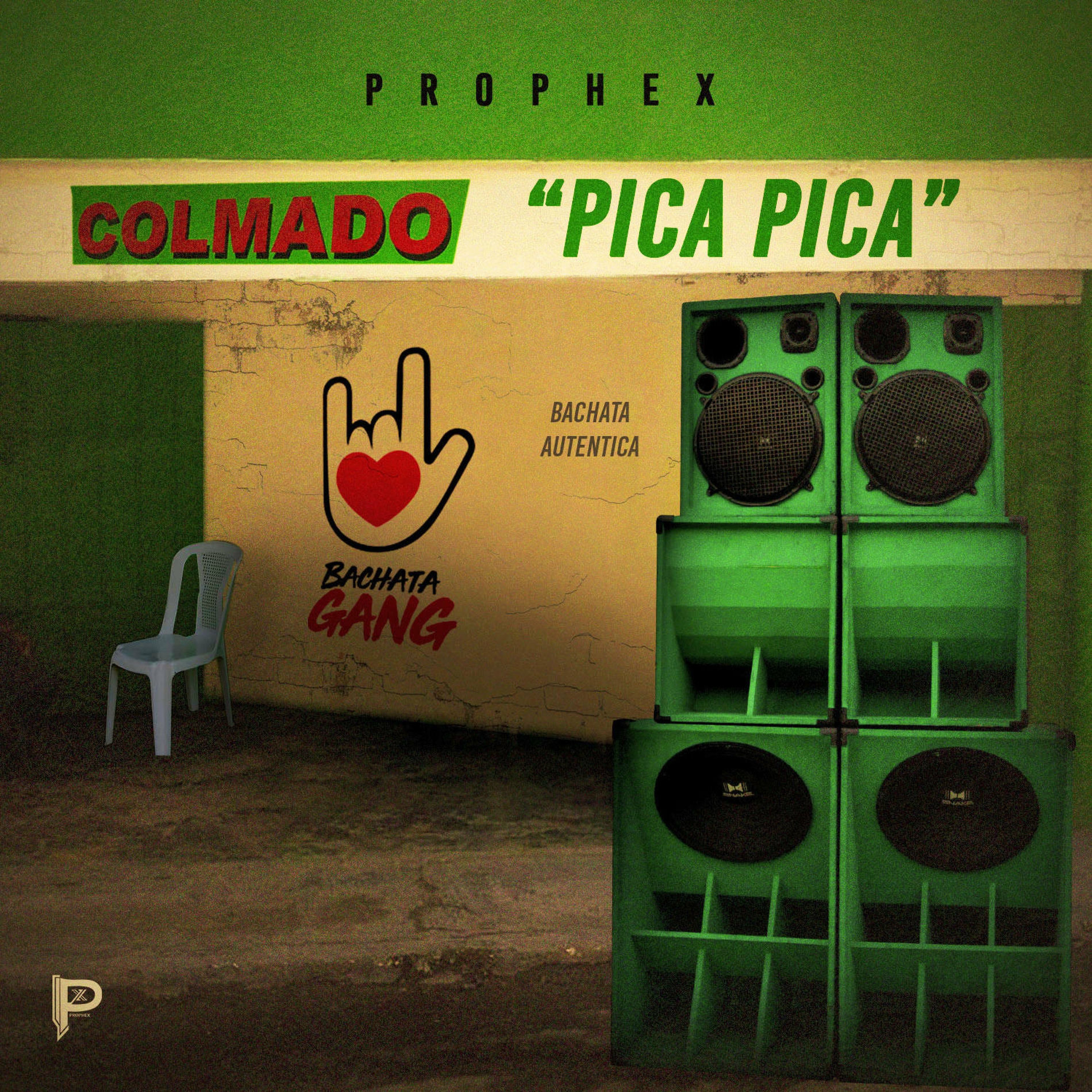 Album cover of Pica Pica