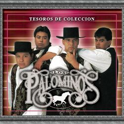 Cover of Tesoros De Coleccion