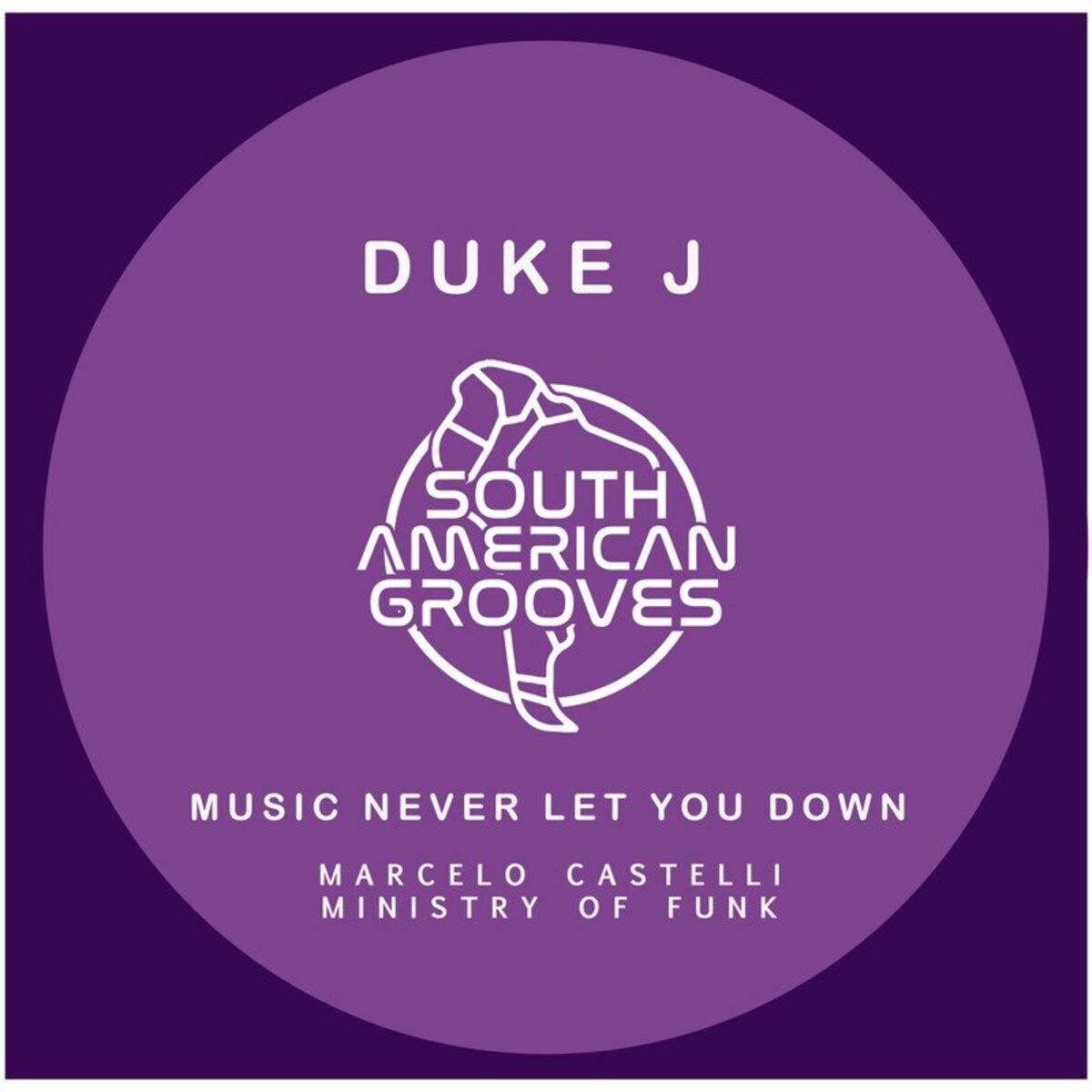 Album cover of Music Never Let You Down