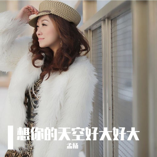 想你的天空好大好大 (DJ沈念版)