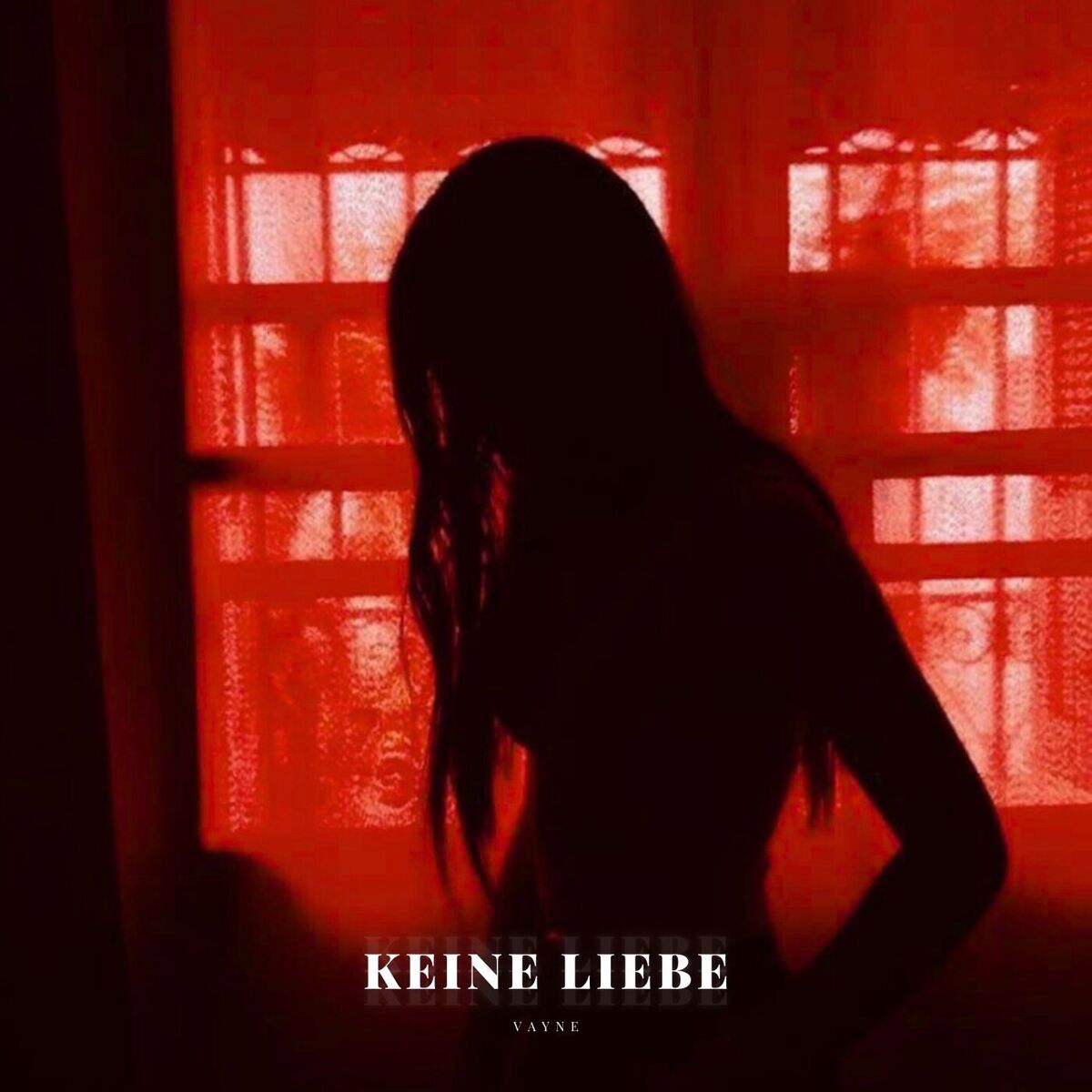 Album cover of Keine Liebe