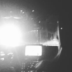 Cover of Trapped
