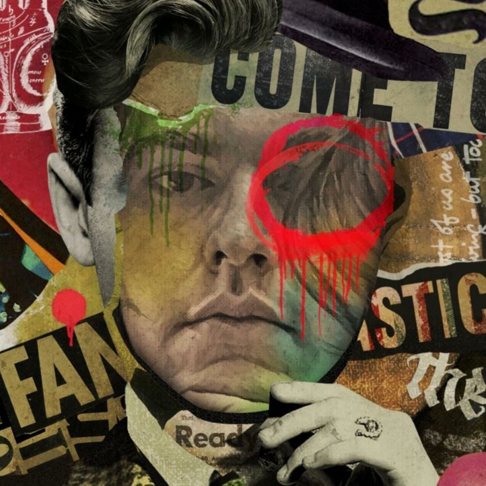 Album cover of Wild Emotions