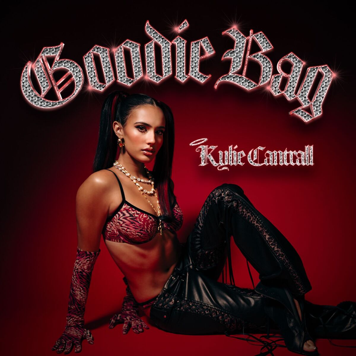 Album cover of Goodie Bag