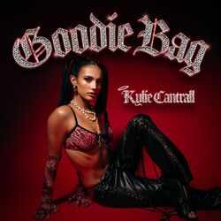Cover of Goodie Bag