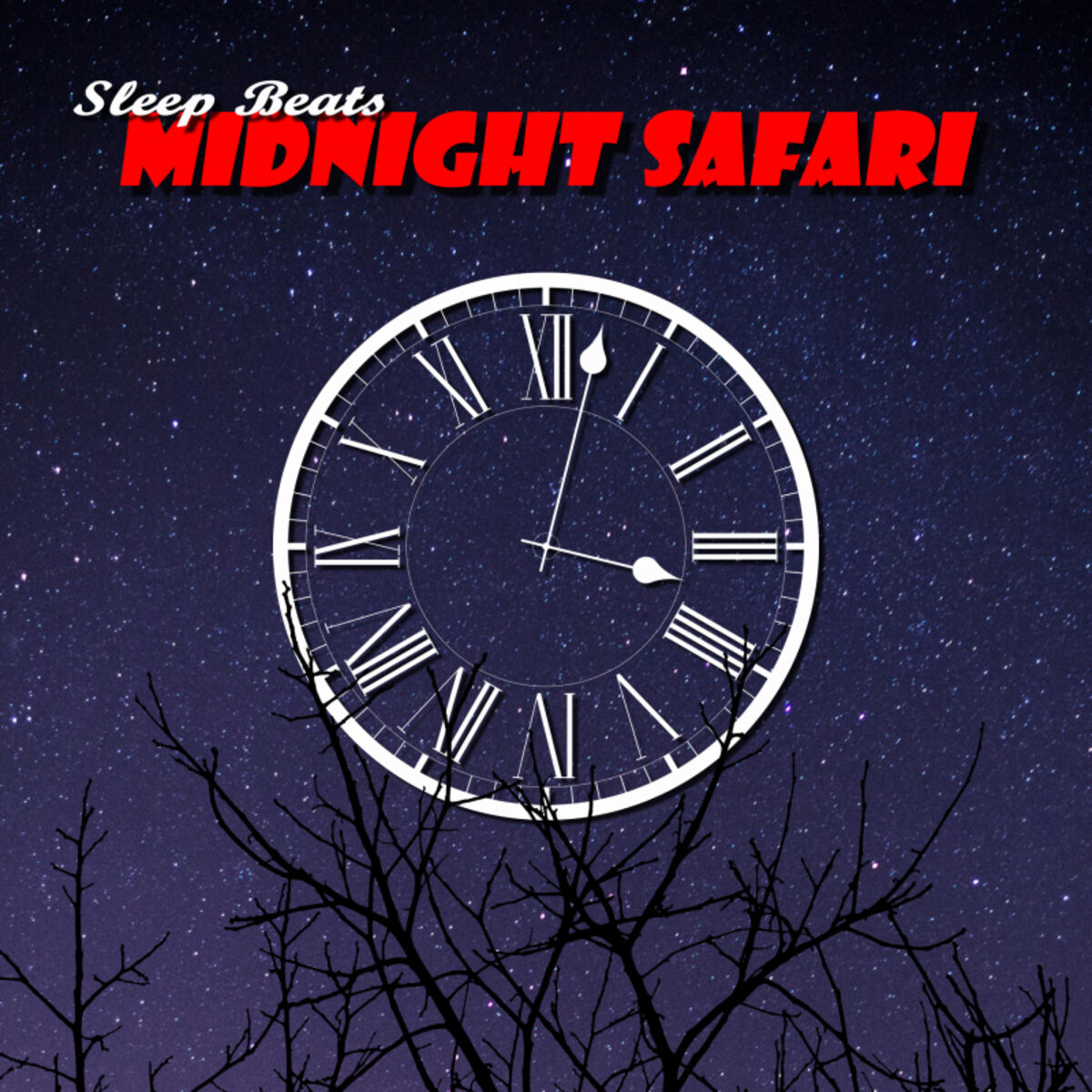 Album cover of Midnight Safari