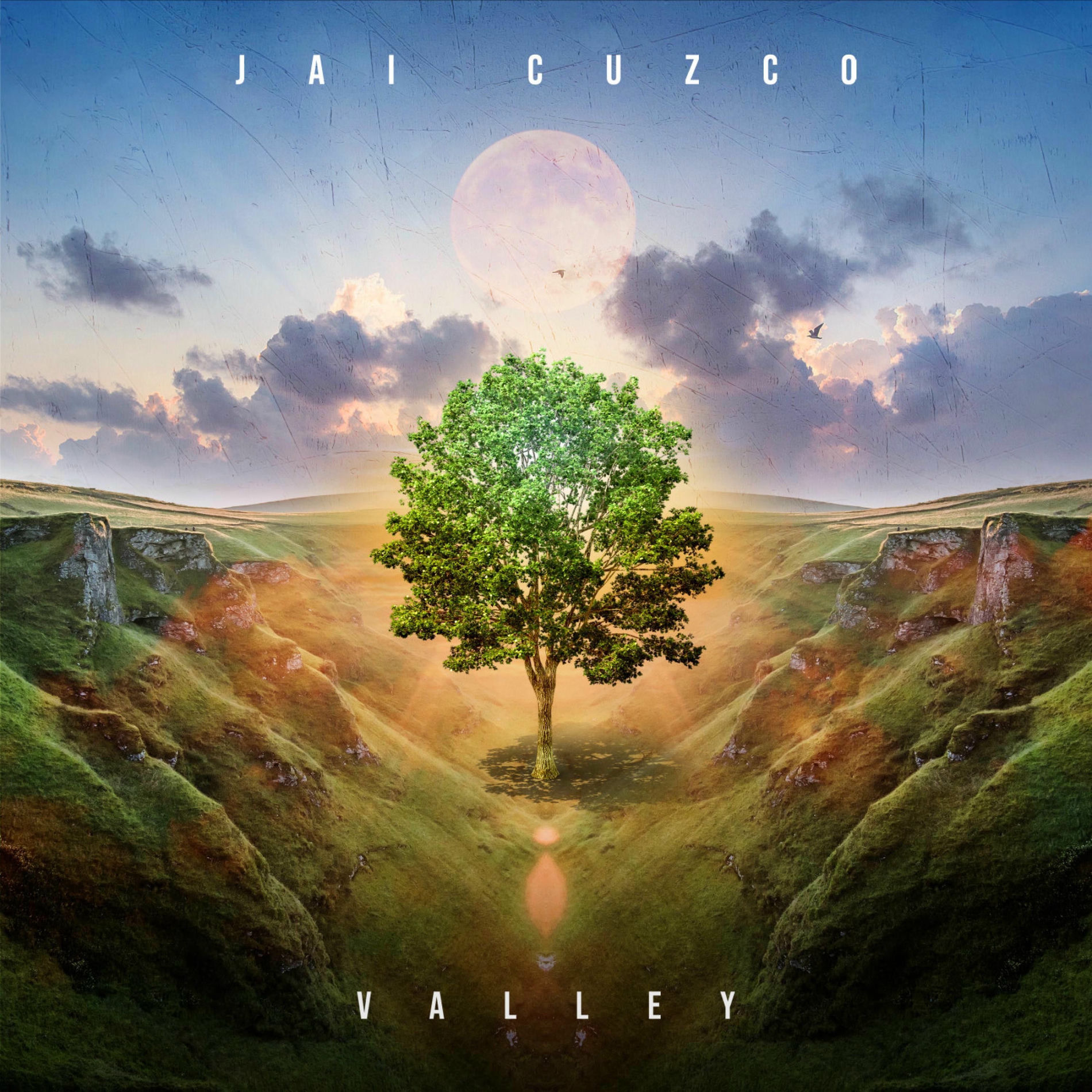 Album cover of Valley