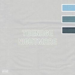 Cover of teenage nightmare
