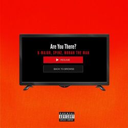 Cover of Are You There?