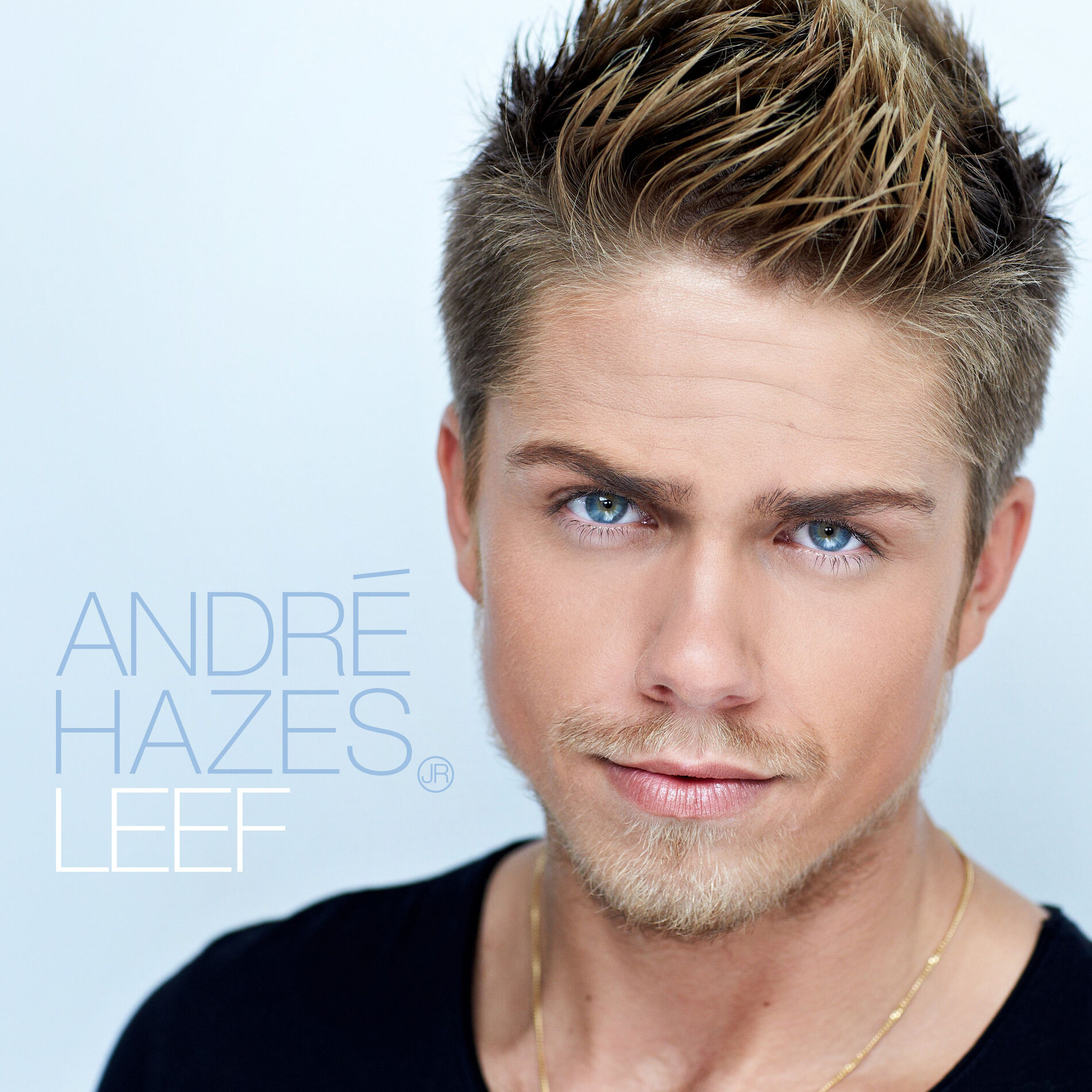 Album cover of Leef