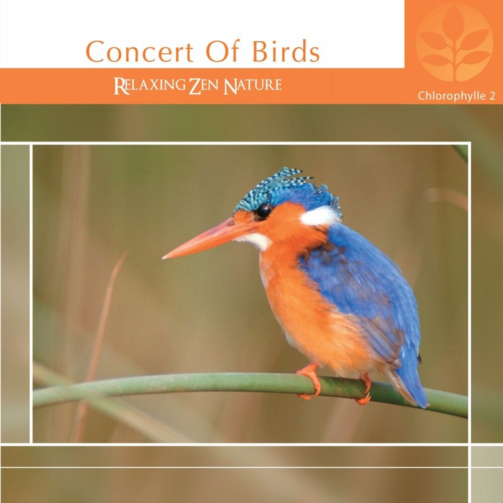 Picture of Chlorophylle II Concert of Birds