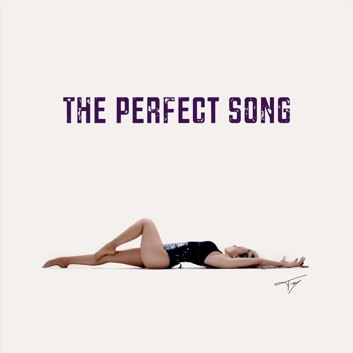 Album cover of The Perfect Song