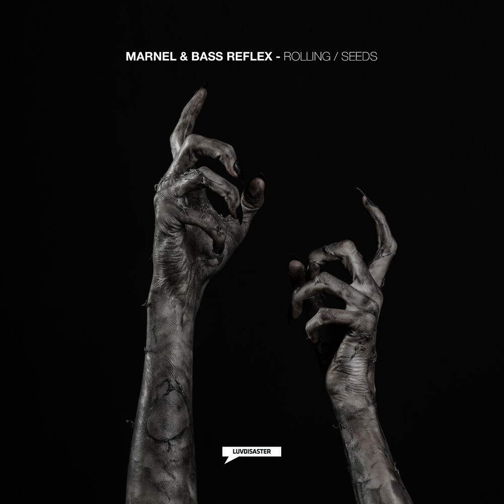 Picture of Rolling / Seeds (Single)
