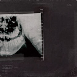 Cover of Oofda