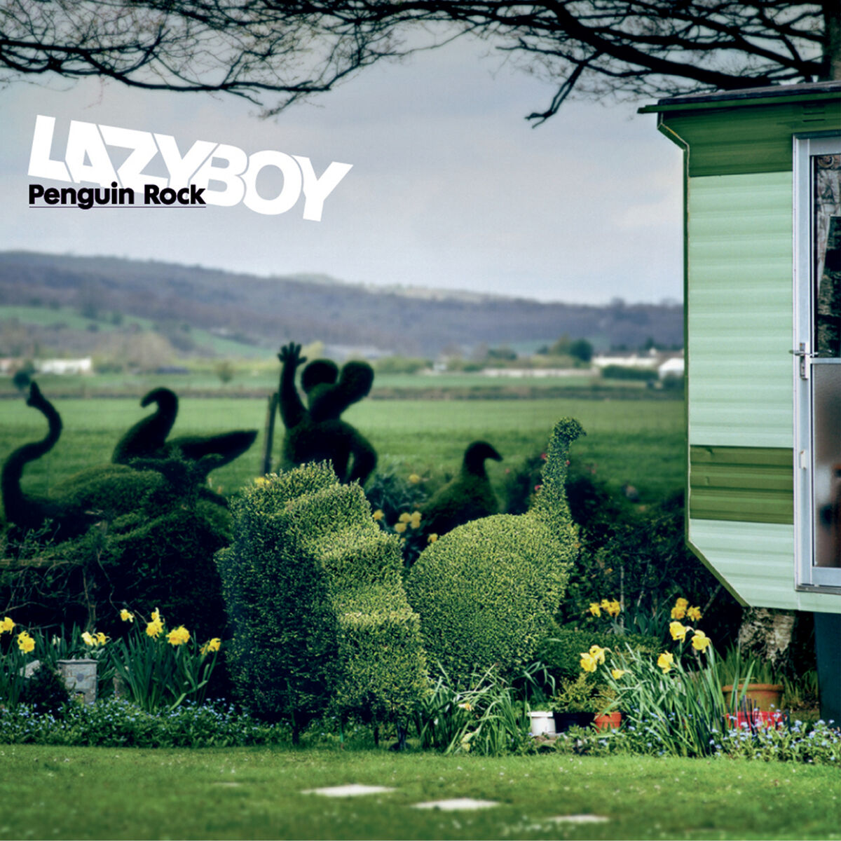 Album cover of Penguin Rock