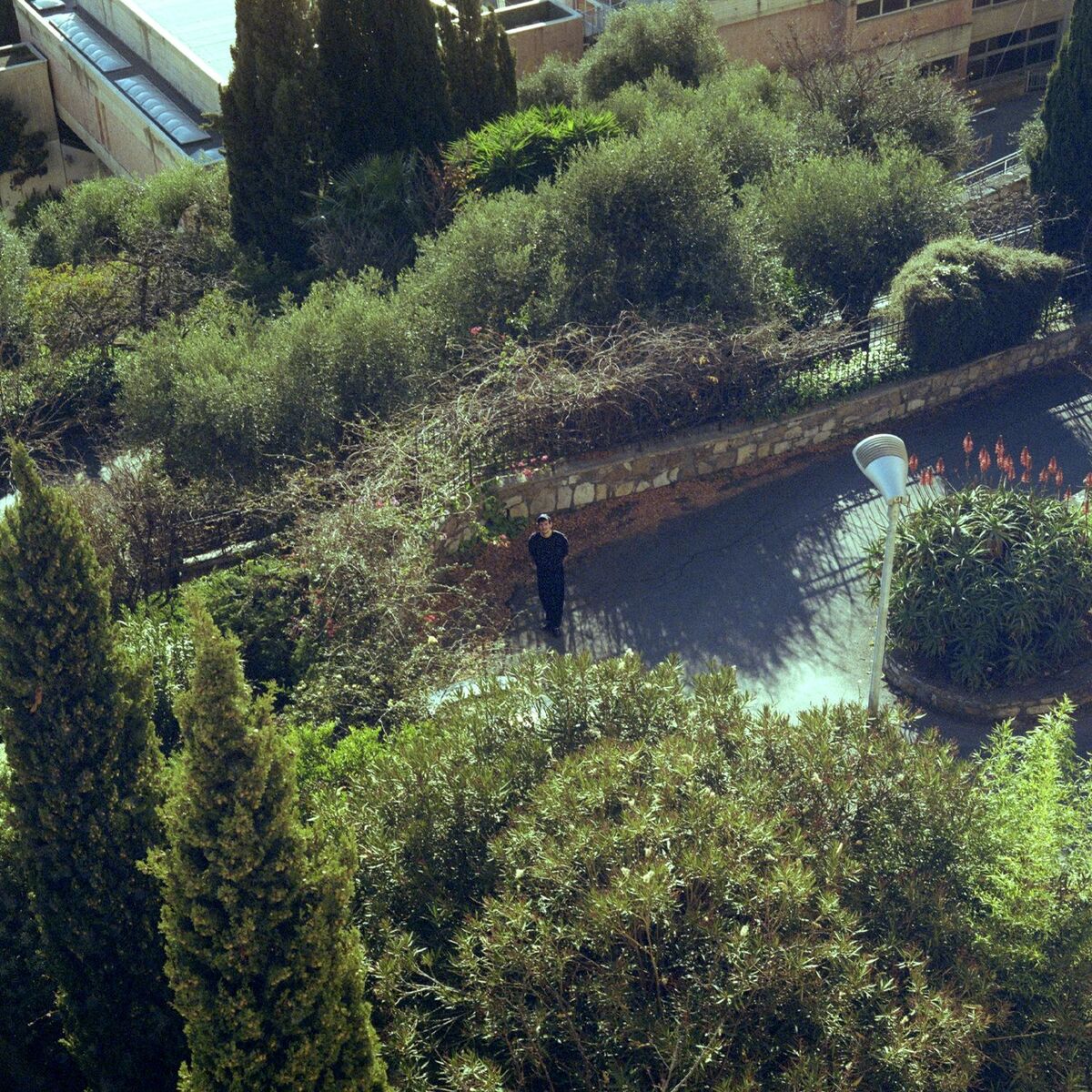 Album cover of Kolibris