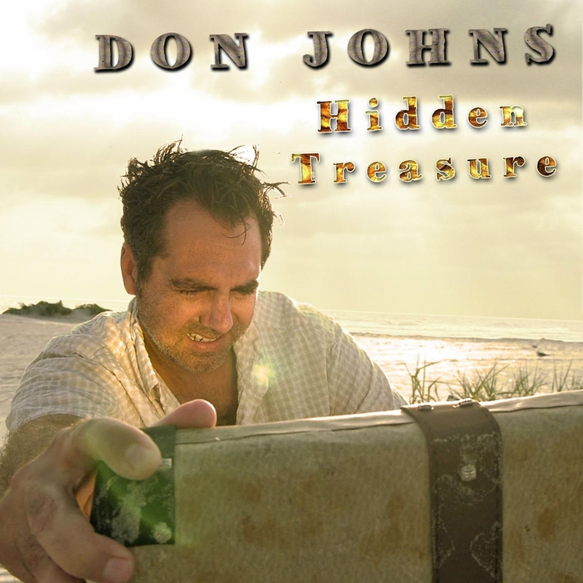 Album cover of Hidden Treasure