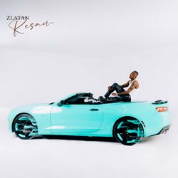 Cover of Resan