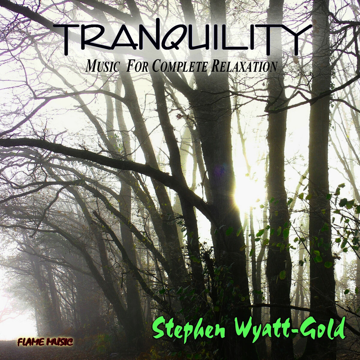 Album cover of Tranquility