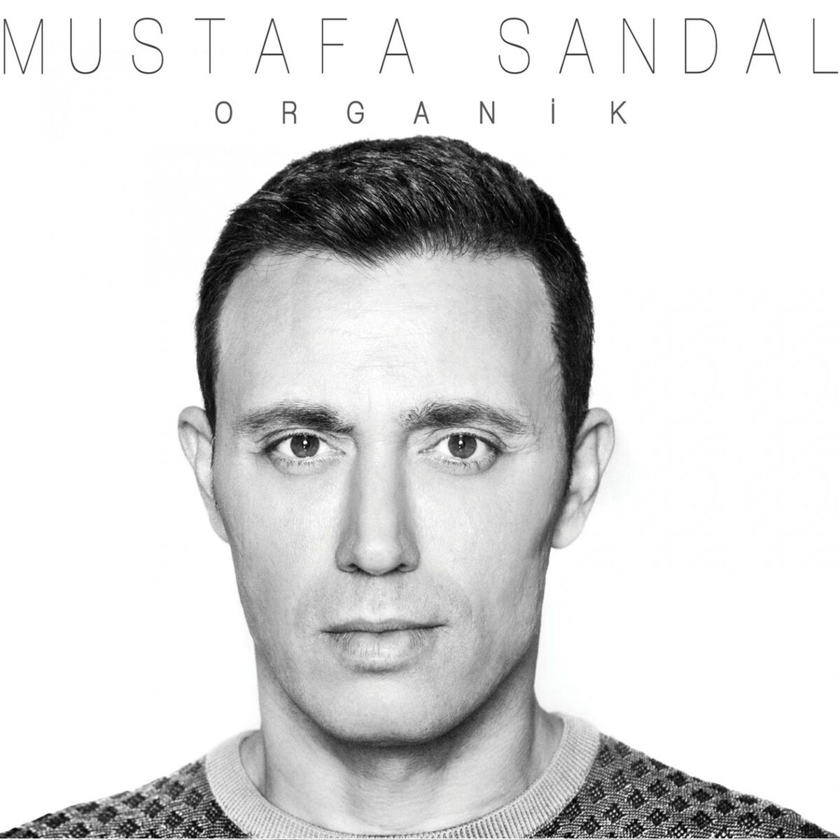 Album cover of Organik