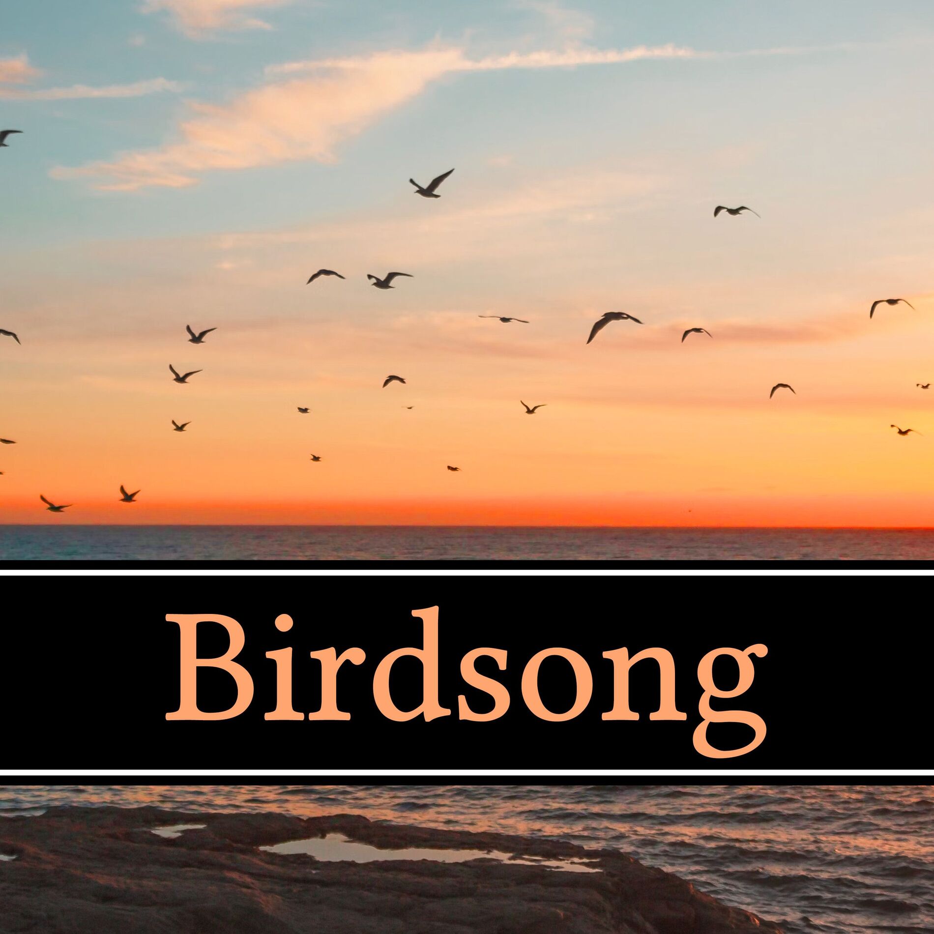 Album cover of Birdsong