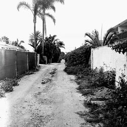 Cover of Bywater (Alternate version)