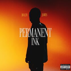 Cover of Permanent Ink