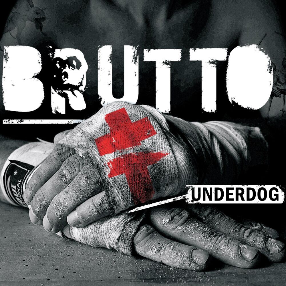 Picture of Underdog