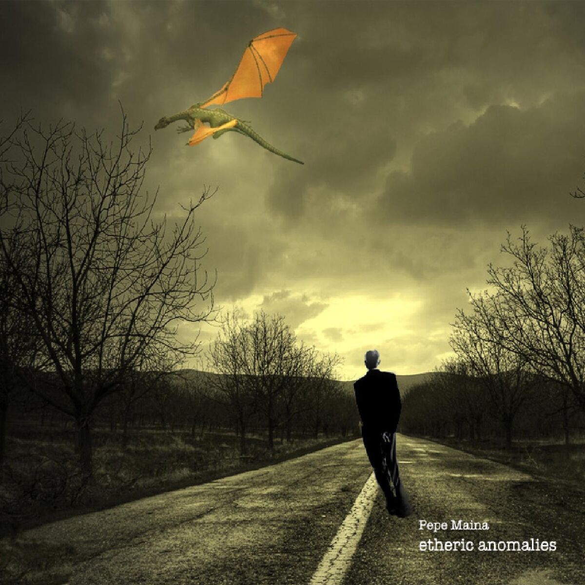 Album cover of Etheric Anomalies