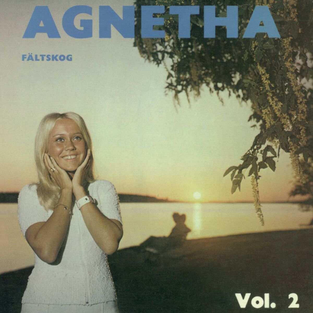 Album cover of Agnetha Fältskog Vol. 2