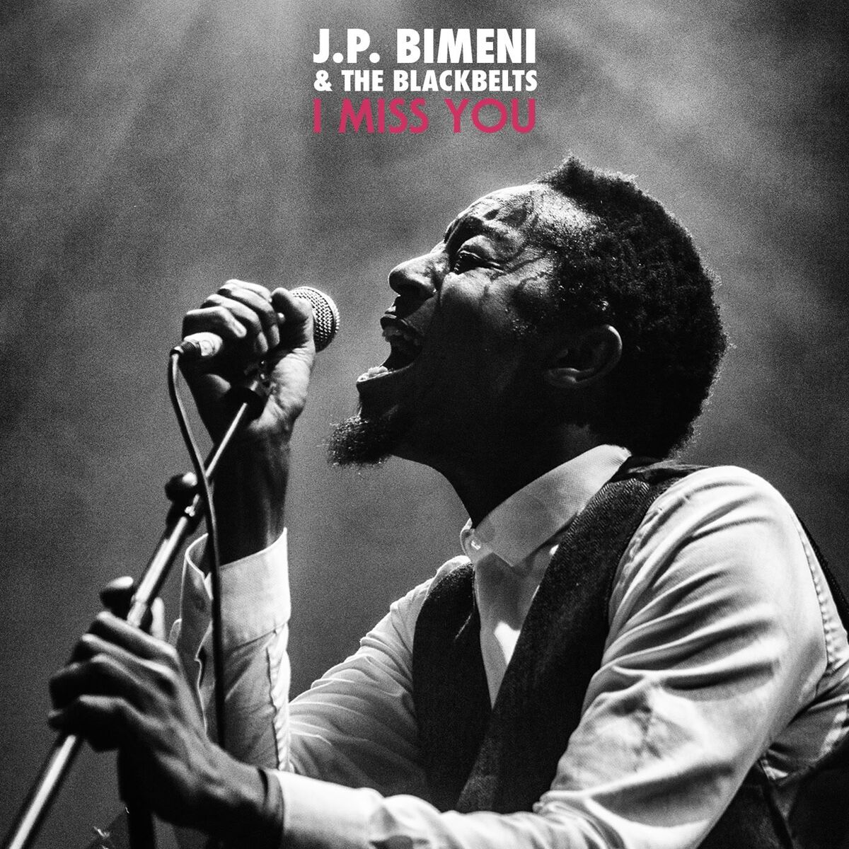 Album cover of I Miss You