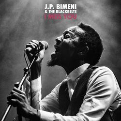 Cover of I Miss You (Radio Edit)