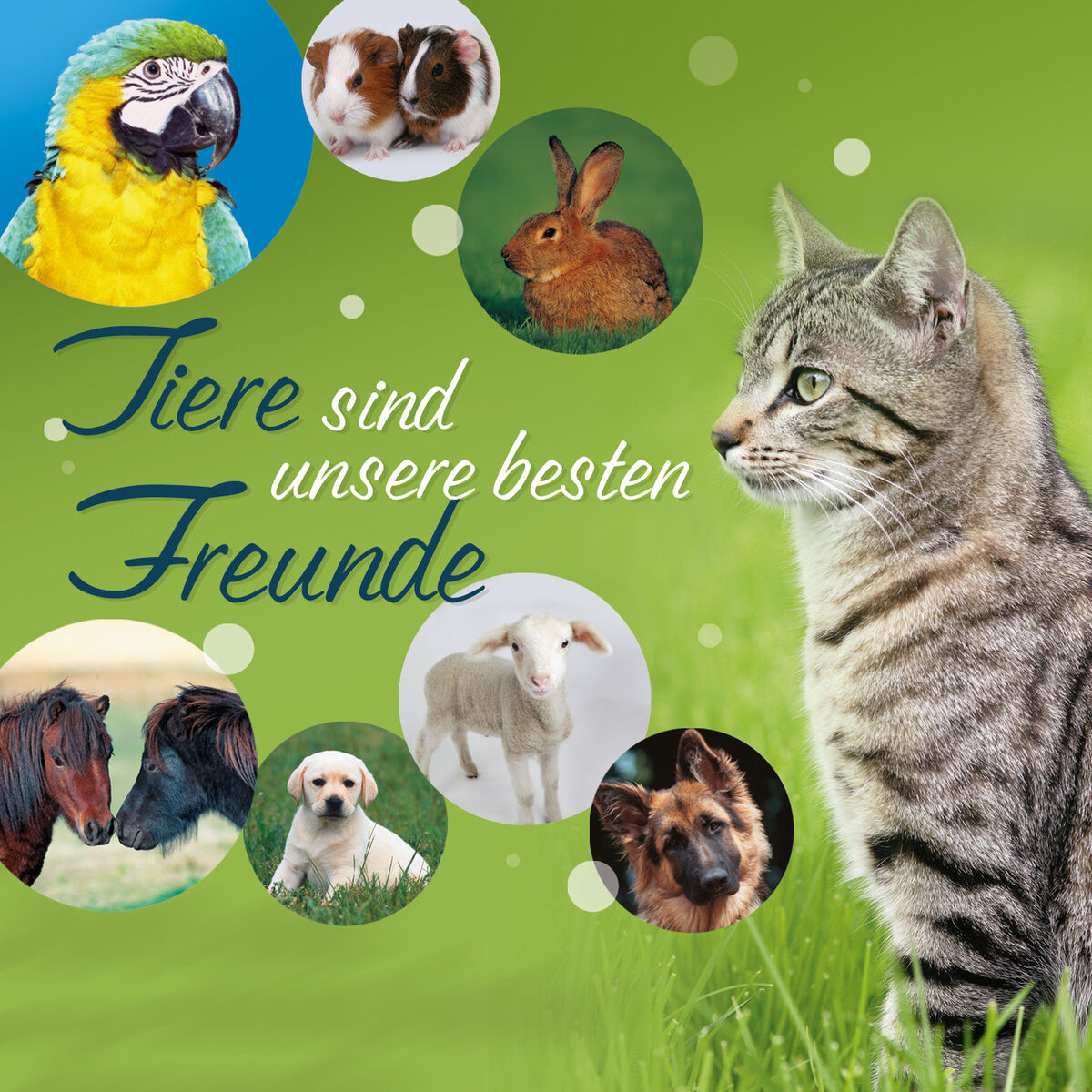 Album cover of Tiere sind unsere besten Freunde