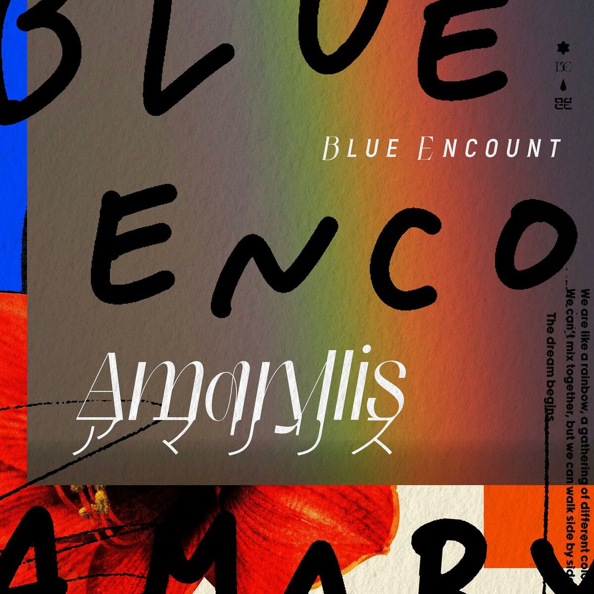 Album cover of Amaryllis