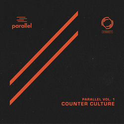 Cover of Parallel, Vol. 1 by undefined