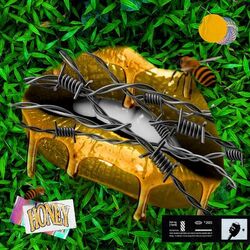 Cover of Honey