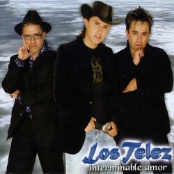 Cover of Interminable Amor