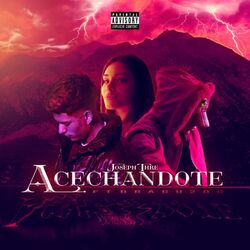 Cover of Acechandote (2024 Remastered Version)